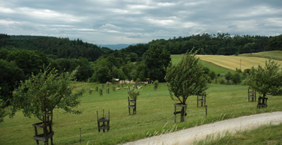 streuobstwiese